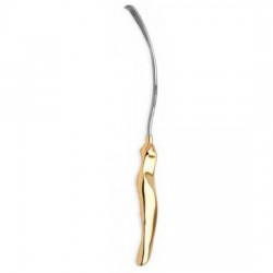 Arcus Marginalis Dissector S-Shaped
